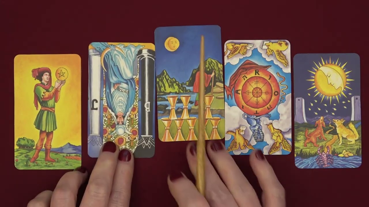 TrumpStein Wed 2.11.2026 He Cannot Escape his Fate 🫣