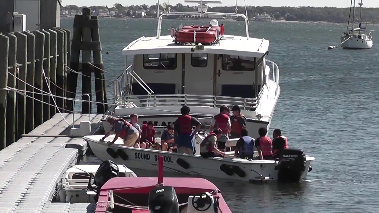 About the Sound School