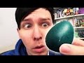 Hatching a MYSTERY EGG! (LIVE)