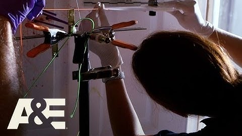 Dead Again: Blood Spatter Analysis (Season 1, Episode 2) | A&E