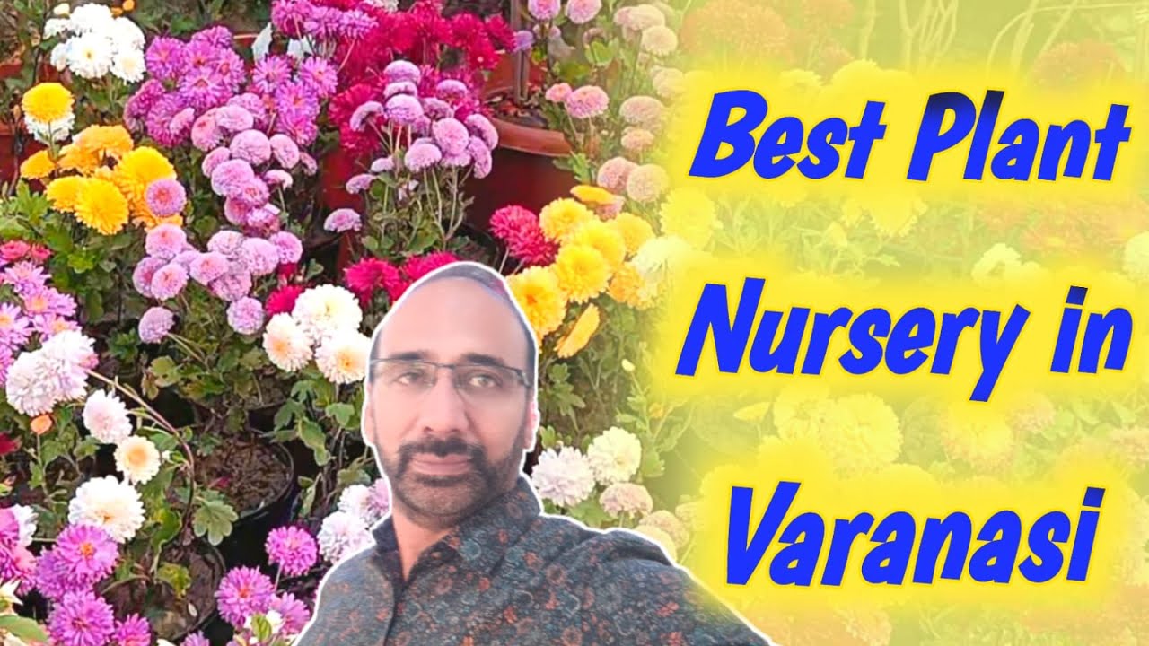 Best Plant Nursery in Varanasi (वाराणसी की प्रसिद्ध नर्सरी) YouTube