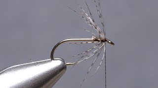 Hungarian Partridge Soft Hackle