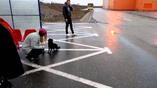 allview p7 xtreme video test 1080p@50fps