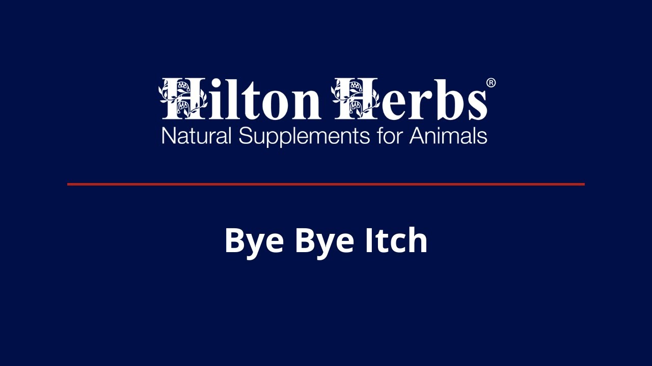 Bye Bye Itch Lotion – Hilton Herbs
