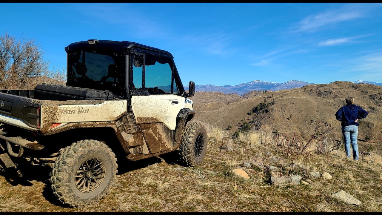 Nice day for a buggy ride.