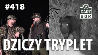 Darz Bór odc. 418 Dziczy tryplet. #wildeboarhunting # Night hunting Darz Bór odc. 418 Dziczy tryplet. #wildeboarhunting # Night hunting