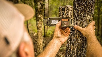 Trail Camera Surveys For Deer Pt. 2 - The Management Advantage