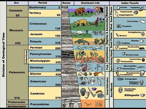 Creationist Has Weird Explanation For Fossil Layers - YouTube