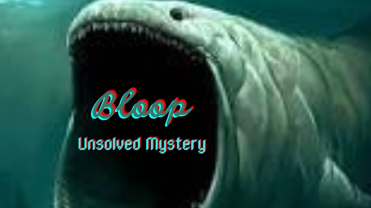 What is Bloop? | The Unsolved Mystery | Real Facts About Bloop - YouTube