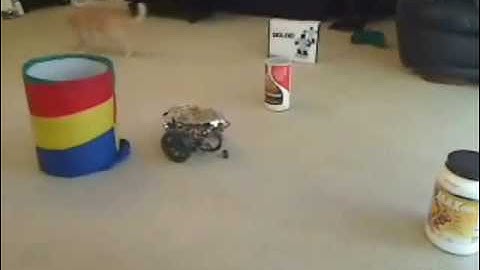 Learning Obstacle Avoidance by Example