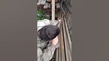 Отличный способ как легко добыть червей #shorts #рыбалка