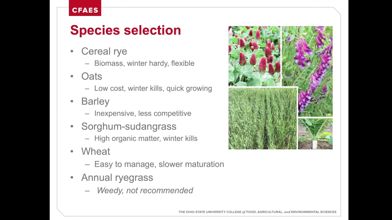 Cover Crop Species Selection