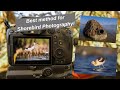 Photographing Shorebirds in my floating blind. The best method for Waterfowl photography
