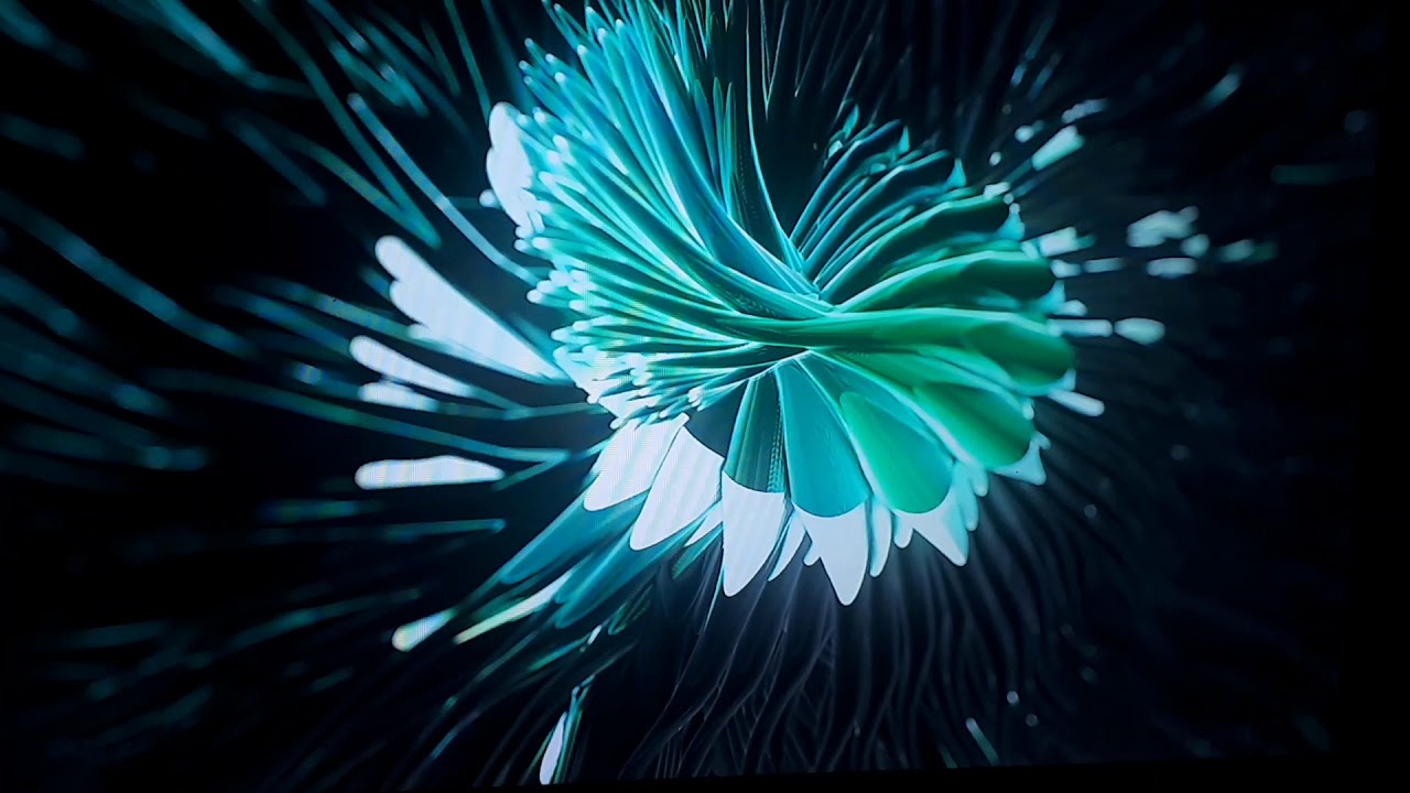 Техно парти видео ряд - YouTube