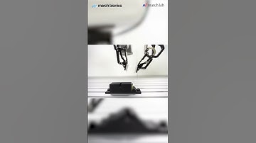 #mechanicalengineering #robot #robotarm #automation #pickandplace #omegagripper