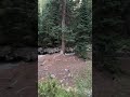 Video of Gore Creek Campground, CO from Shannon S.