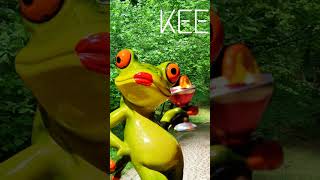 👉 Bright background + cartoon text bubble:“Pose दो Darling! 😎📸”#🐸FunnyFrog#📸FrogPhotoshoot#😂Comedy