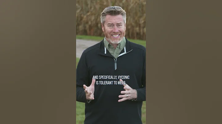 The new Vyconic soybeans have tolerance to HPPDs.