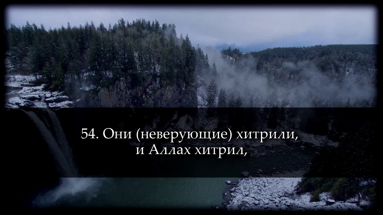 Саид Дубаха. Сура 