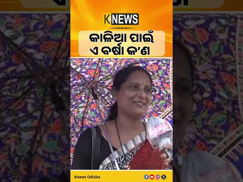 କାଳିଆ ପାଇଁ ଏ ବର୍ଷା କ’ଣ #knewsodisha
