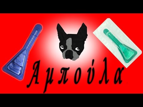 Βίντεο: Azathioprine - Λίστα φαρμάκων και συνταγών για κατοικίδια, σκύλους και γάτες