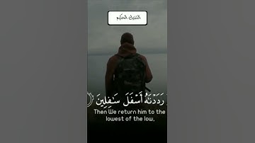 سورة التين بصوت جميل