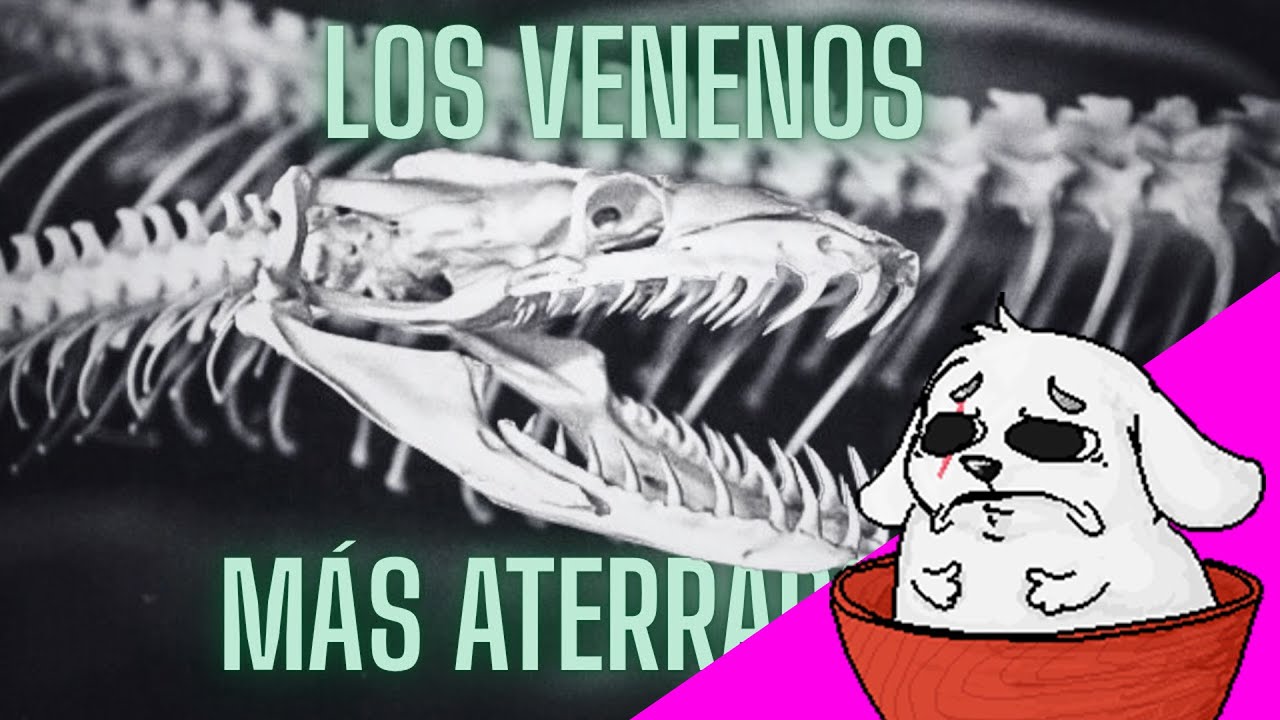 Huntleo reacciona a 