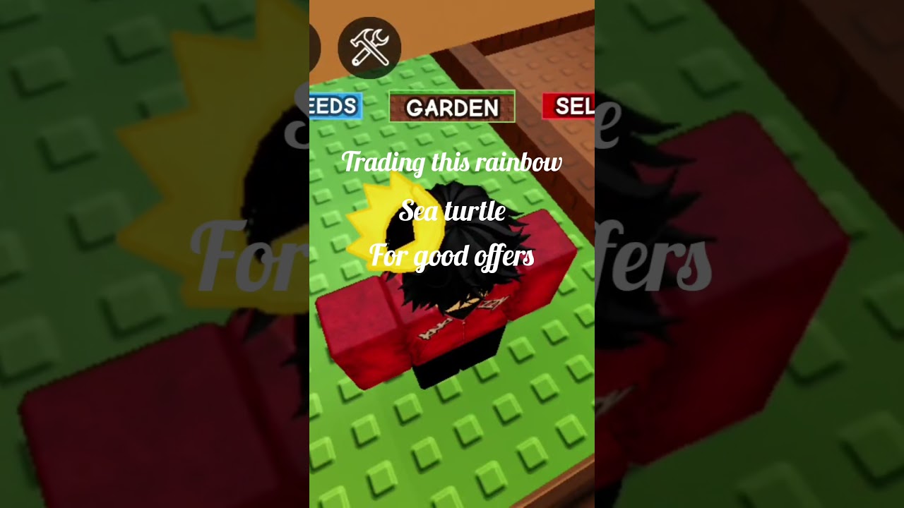 Trading Huge Rainbow Sea turtle for very good offer