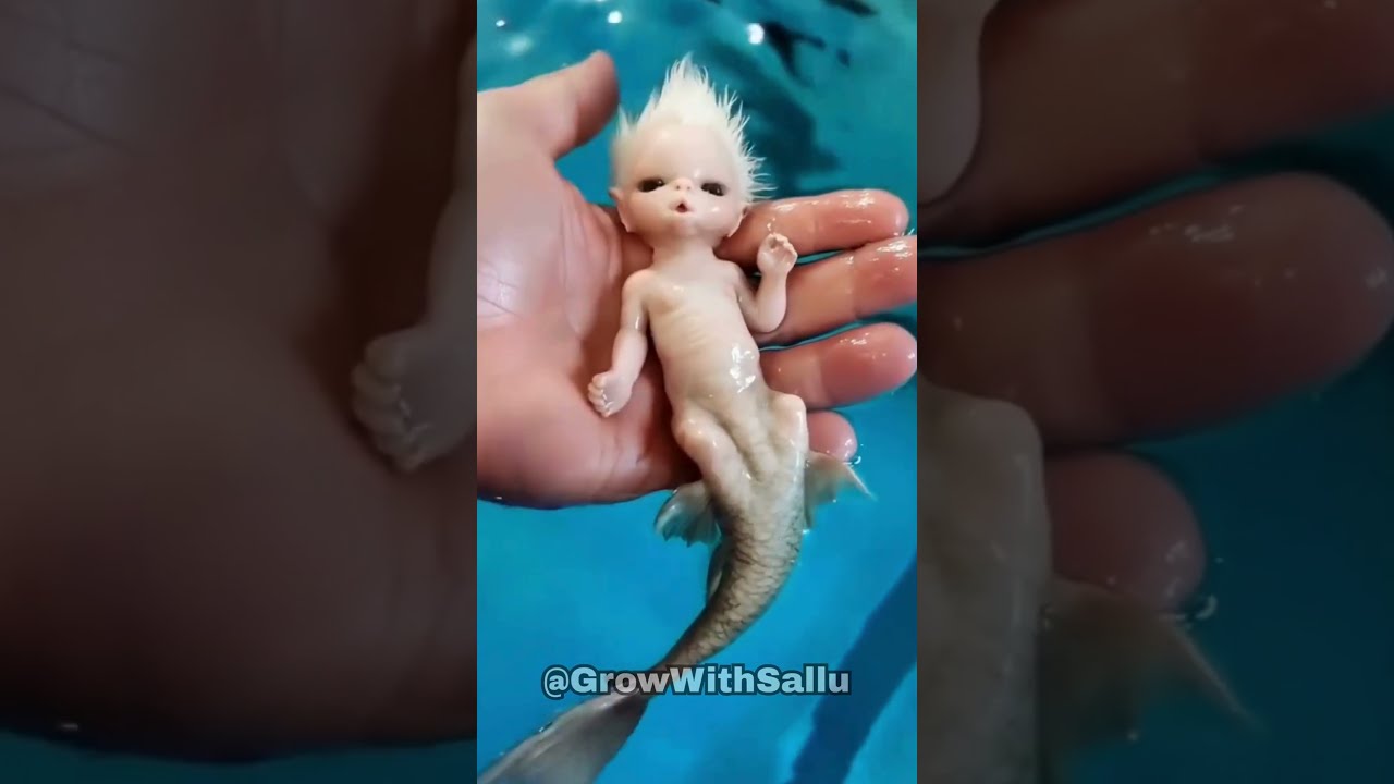 Before After Animals Growing Up Amazing Animal Transformation Part 23 
