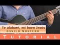 Te alabar mi buen jess  tutorial  danilo montero