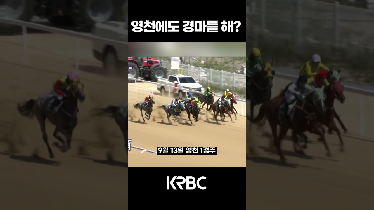 요새는 영천에서도 경마를 해 #shorts #경마방송 #기수 #경주마 #경마 #KoreaHorseRacing