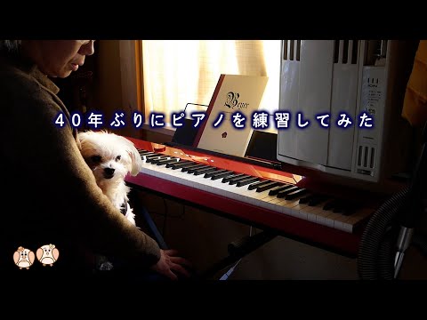 大人のピアノ練習】40年ぶりのピアノ初練習！CASIO Privia PX-S1000