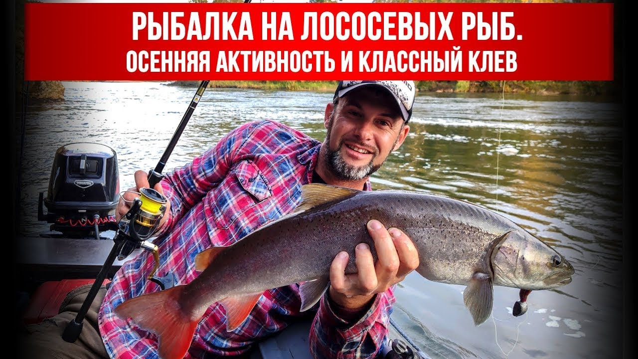Классного клева. Рыбалка Сибирь 2022. Окунев поймал рыбу. Рыбалка осенняя Инспирейшен. Классный клев