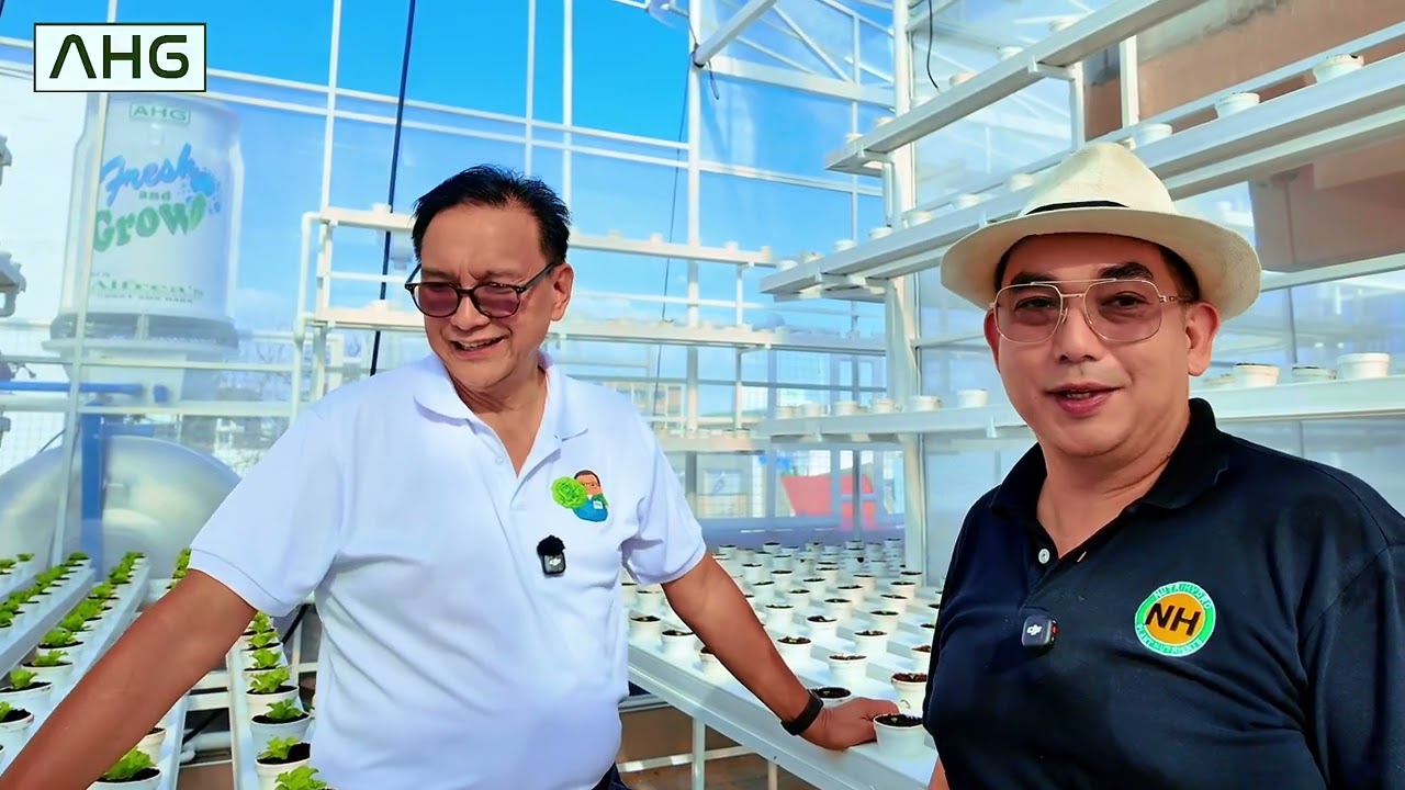 Dissolved Oxygen Mga dapat gawin sa tag-init