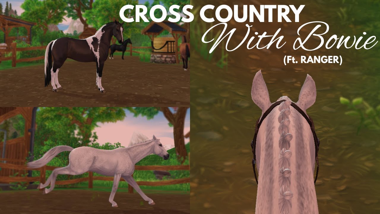 Sso Rager Cross Country With Bowie ft Ranger║SSO RRP - YouTube