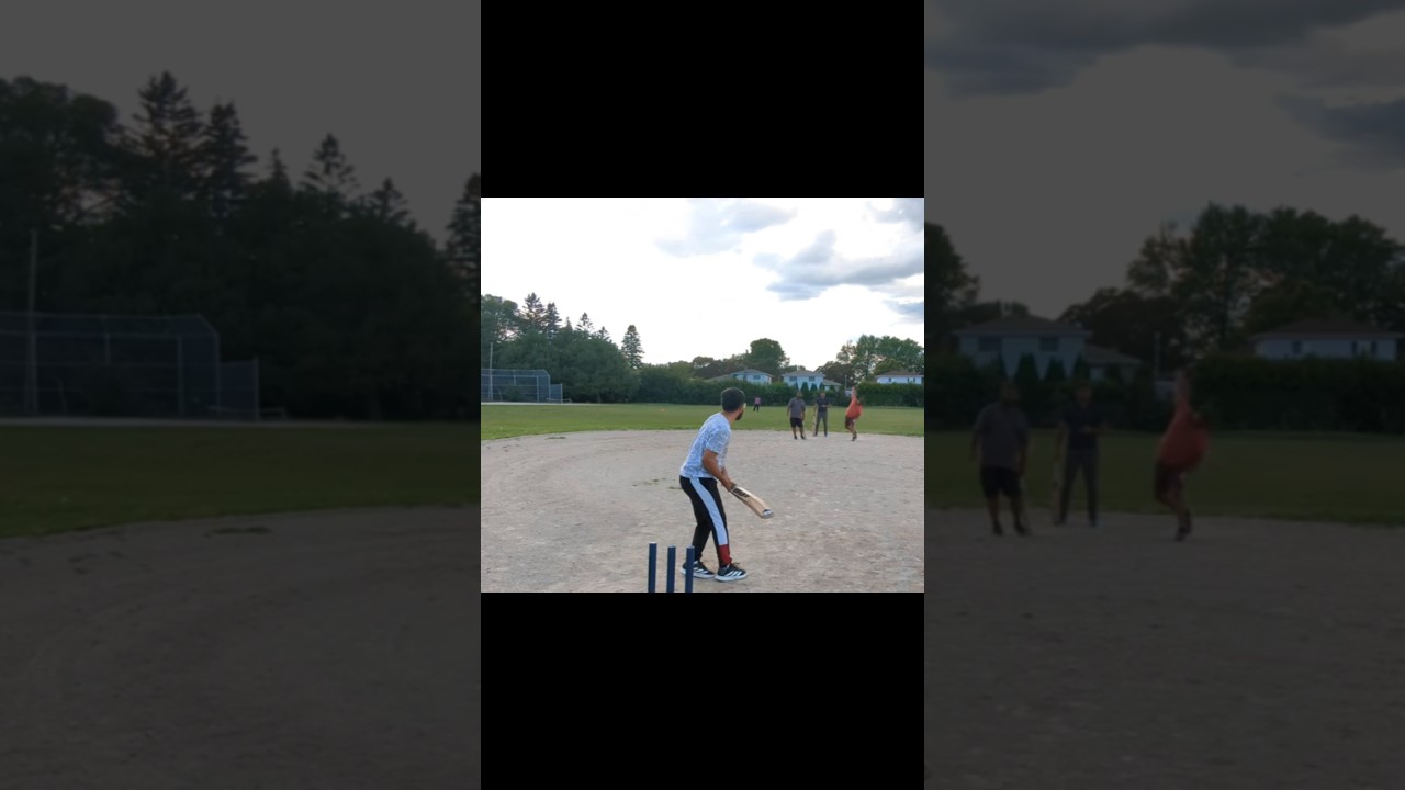 Sanju's cow corner six