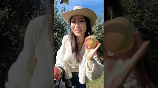 Apple picking #dailyvlog #shorts #shortvideo #shortsfeed