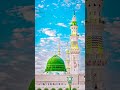 #بین_الحرمین #حسین_بن_علی #عاشوراء #عزاداری #محرم #یاحسین #یاعباس #ذکر #pakistanborders #p #music