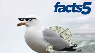 The Country That Runs on Bird Poop | Facts5