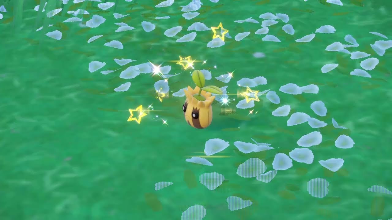 Shiny Sunkern (16/03/2025) Road to living Scarlet & Violet SHINY DEX 384/400