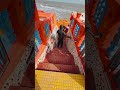 Shree gangeshwer mahadev.. daman diu beautiful place #viralvideo