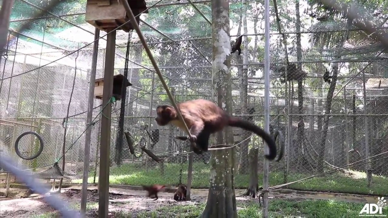 defenders of wildlife charity rating Knock, knock!
