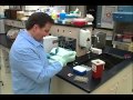 Bacterial DNA Fingerprinting and Its Role in Infection Control