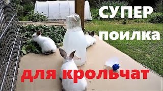 супер-ПОИЛКА ДЛЯ КРОЛИКОВ % ЭТО нужно крольчатам