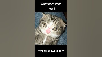 What does lmao mean (wrong answers only) #shorts