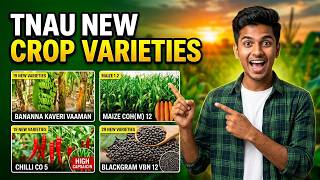 19 New Crop Varieties for TNPSC AO | HO | AAO | AHO Exams