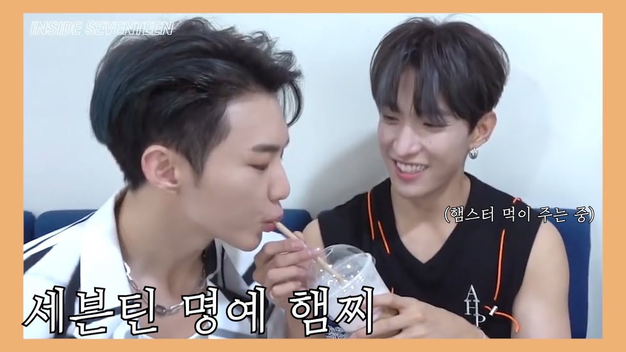 [세븐틴/호시] 좀 심각하게 귀여운 호싱이