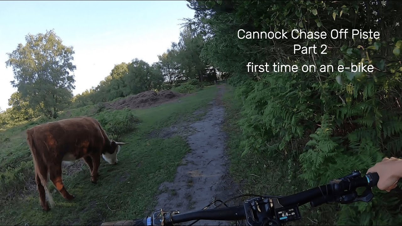 Top 5 MTB Off Piste - Cannock Chase Pt. 2