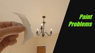 Paint Peeling Off Old Ceilings When Painting