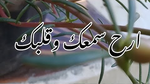 تلاوة زكية بنبره هادئة تريح الاعصاب وتخشع لها القلوب للقارئ مصطفى البرزاوى
